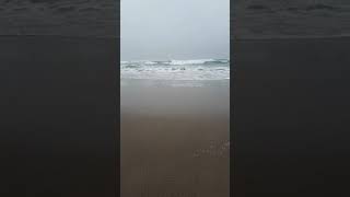 Sneaker Wave - Lincoln City, OR
