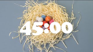 45 Minute Countdown Timer | EASTER EGG NEST, SPRING | Alarm Bell Tone