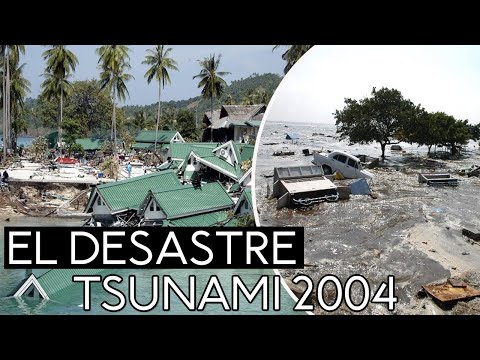 Vídeo: Después Del Tsunami: El Amor De Una Familia De Sri Lanka Por El Mar - Matador Network