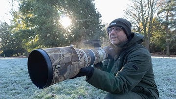 Bird Photography at the Park: Why I Had to Change Plan (Canon R6 & EF 500mm F/4 Lens)