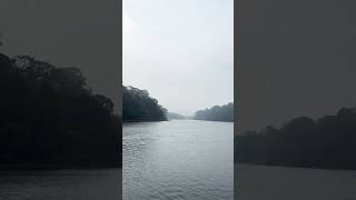 Periyar Lake 💚 Guide to God's Own Country ! Kerala Tourist Places  !#kerala