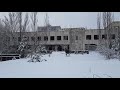 An ELK walking across the central square of Pripyat