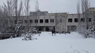 An ELK walking across the central square of Pripyat