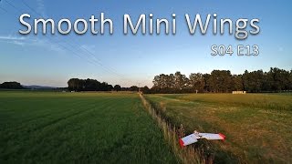 S04 E13 - Smooth Mini Wings
