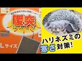 ハリネズミの寒さ対策！「暖突L」を使ってみました