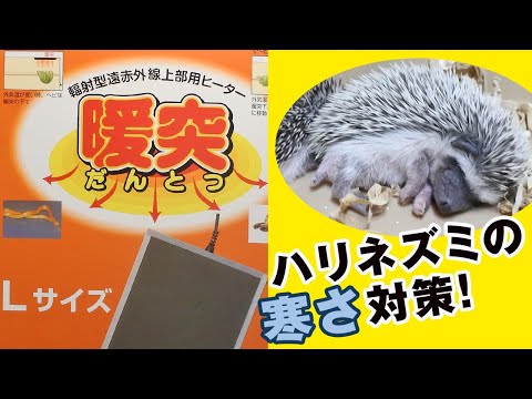 ハリネズミの寒さ対策：ケージの中を上から暖める「暖突」レビュー