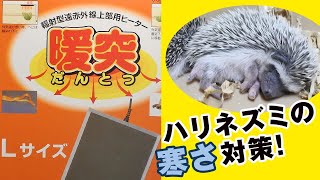 ハリネズミ飼育セット ケージ ハウス パネルヒーターなど ハリネズミ飼育セット ケージ ハウス パネルヒーターなど