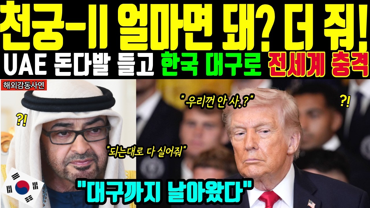 [해외감동사연] 지금 당장 필요합니다...천궁-II 구매 확정한 UAE가 대구까지 날아왔다 전세계 충격