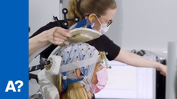 Demo: algorithm uses brain activity feedback to automate TMS