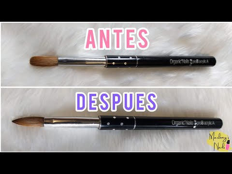 Limpia y restaura tu pincel para acrílico 🖌️💅 Tips y consejos ✅