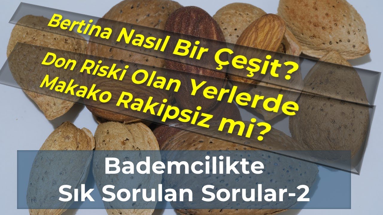 Bademcilikte Sıkça Sorulan Sorular 2