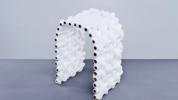 3D Printing Vaginas, Robots, & 3D Printers