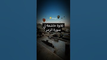 #قرآن #سورة_الزمر #tiktok