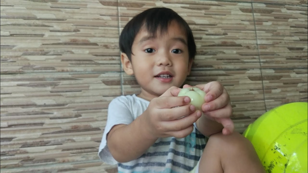 Ahsan Makan Jambu | Rio Gaming - YouTube