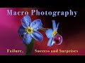 Macro Photography - Failure, Success and Surprises