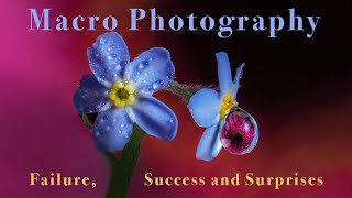 Macro Photography - Failure, Success and Surprises