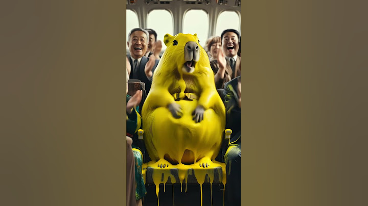 卡皮巴拉在飞机上揉出好多黄色泡沫  Capybara rubbing a lot of yellow foam on the plane #capybara #funny #animals