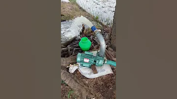 Compact 1 5hp Motor 