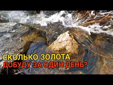 ЗОЛОТО ЗА ОДИН ДЕНЬ...