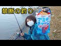 真冬の激シブ川でもサビキ釣りなら釣れる説。【遠賀川】