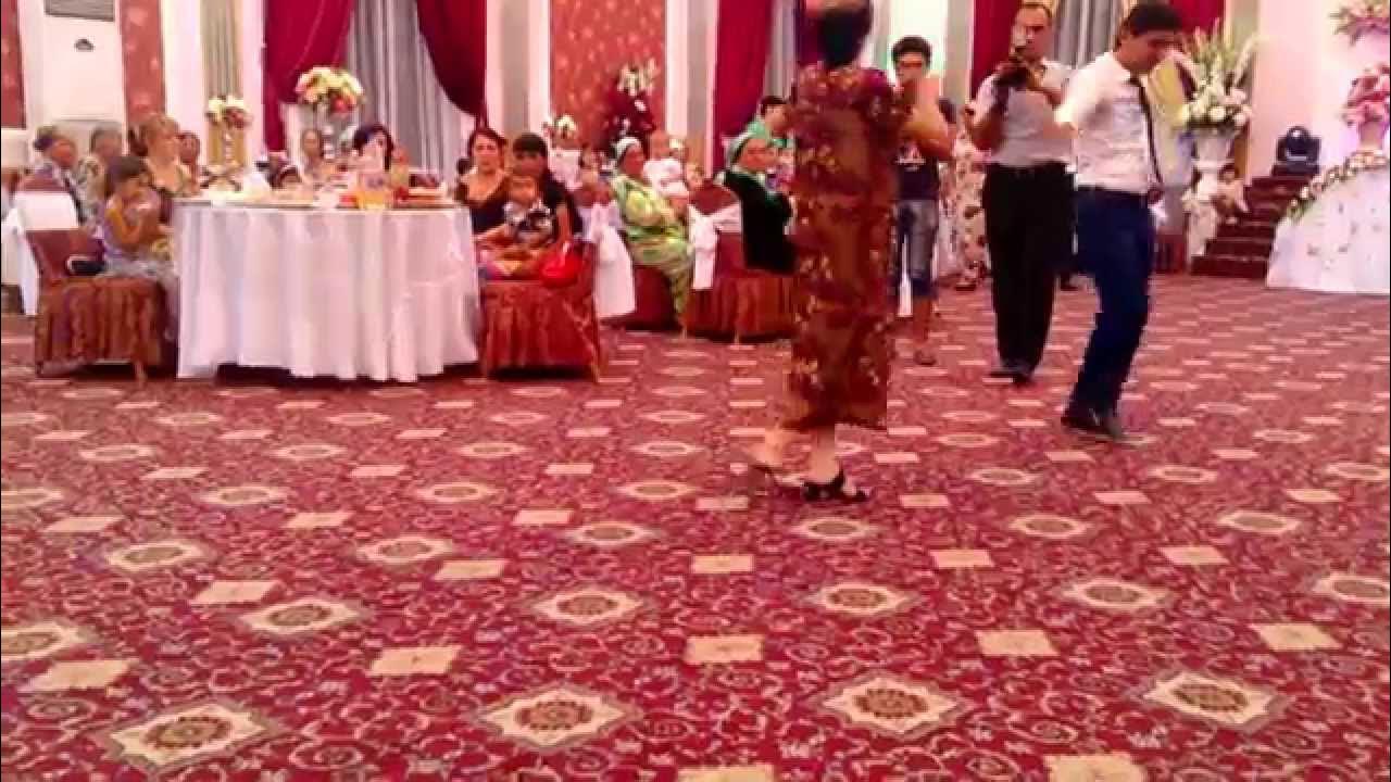 туя вариегата. туя кустарниковая. туй 7. туй 7. туя западная брабант живая изгородь.