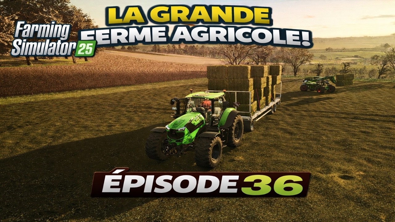 Andainage, pressage du foin et préparation fourrage |FS25 Ferme realiste | Déc. | Timelaspe #36