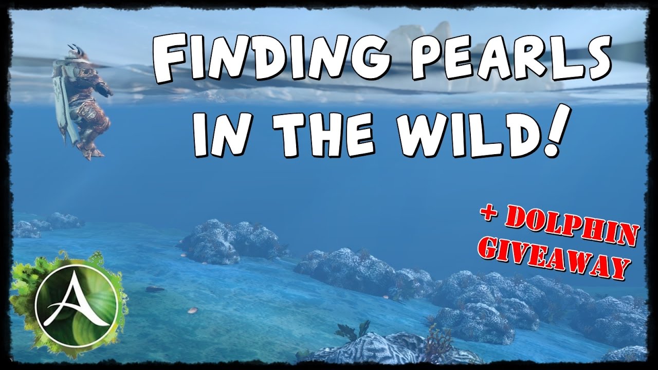 ArcheAge - Finding pearls in the wild and why it's worth - YouTube
