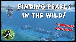 ArcheAge - Finding pearls in the wild and why it's worth screenshot 3