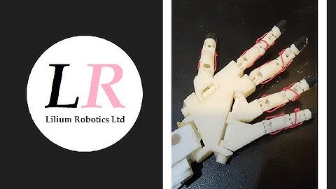 Lilium Humanoid Robot - Prototype 1