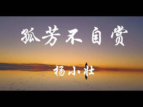 杨小壮新歌【孤芳不自赏】继孤芳自赏后又一新作听听他撕心裂肺的歌声，那里是否有你