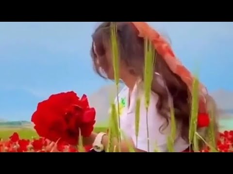 غنوا وحبوا وقولوا معنا خليك يا حزن بعيد ده هوانا لسه جديد