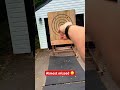 Barely got it 🎯 #axethrowing #trickshot #watl #trickshots #throwingaxe