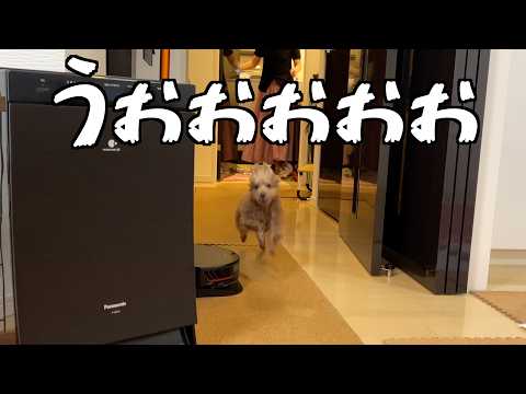 予想外のお風呂に愛犬が戸惑っていたらハプニングが起きたｗ