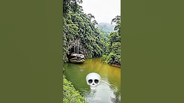 power of transformation big snake 🐍 ☠️