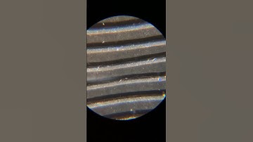Vinyl record under a microscope. #Shorts