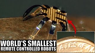 These Tiny Crabs Are The World's Smallest Remote Controlled Robots