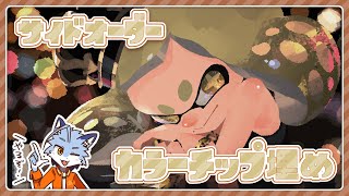 【スプラ3】サイドオーダーのカラーチップ埋める【作業】