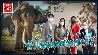 ทำไมต้องช่วยช้างไทย? - เพื่อนรักสัตว์เอ๊ย EP.142