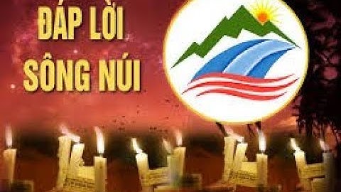 CÁ CHẾT HÀNG LOẠT Ở HỒ NƯỚC NGUYỄN DU – THÀNH PHỐ TAM KỲ