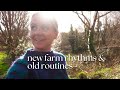 Homestead routines  farm updates  yoga kefir sourdough planting veg and runaway lambs