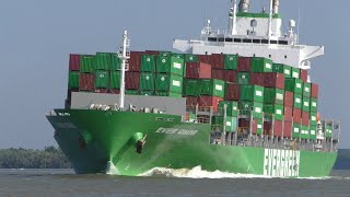 WITHNESS 3 SHARP TURNS  OF A MASSIVE CONTAINER SHIP - EVER OMNI by ShipSpotting Vietnam 1,795 views 1 month ago 8 minutes, 11 seconds