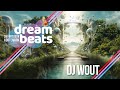Dj wout  new years eve livestream