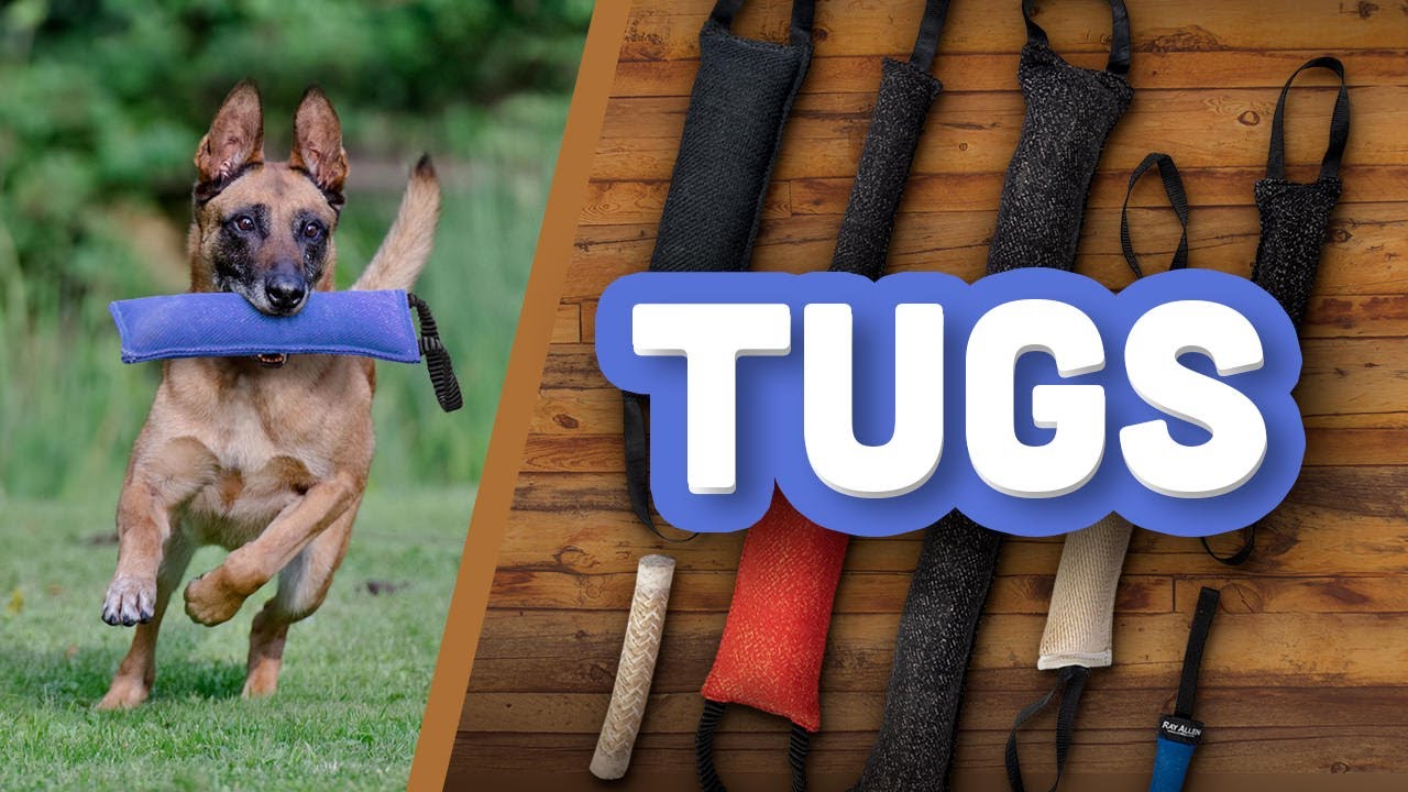 Tug Toys - K9 Training and Puppy Development 