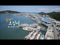 [다큐3일]'왔다!오징어-태안 신진항 72시간' / KBS 20190913 방송