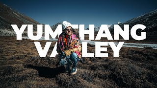 Ep 04 - Lachung | Zero Point | Yumthang Valley | Sikkim Tour