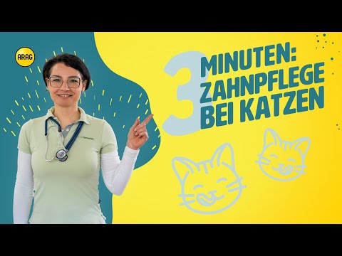 Video: Wie viele Zähne hat eine Katze, wie man sie putzt