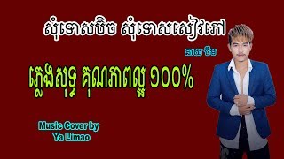 Video thumbnail of "សុំទោសប៊ិច សុំទោសសៀវភៅ ភ្លេងសុទ្ធ នាយ ចឺម Karaoke [ Sunday production ]"