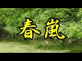 春嵐 若山かずさ COVER