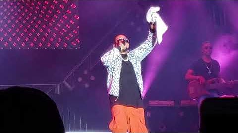 Sean Paul & David Guetta ft. Becky G - Mad Love Live from Universal Studios Orlando