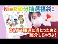 【NieRの抽選福袋】節分抽選福袋が大当たり♡アリス好きな私にこれは刺さる…！！！